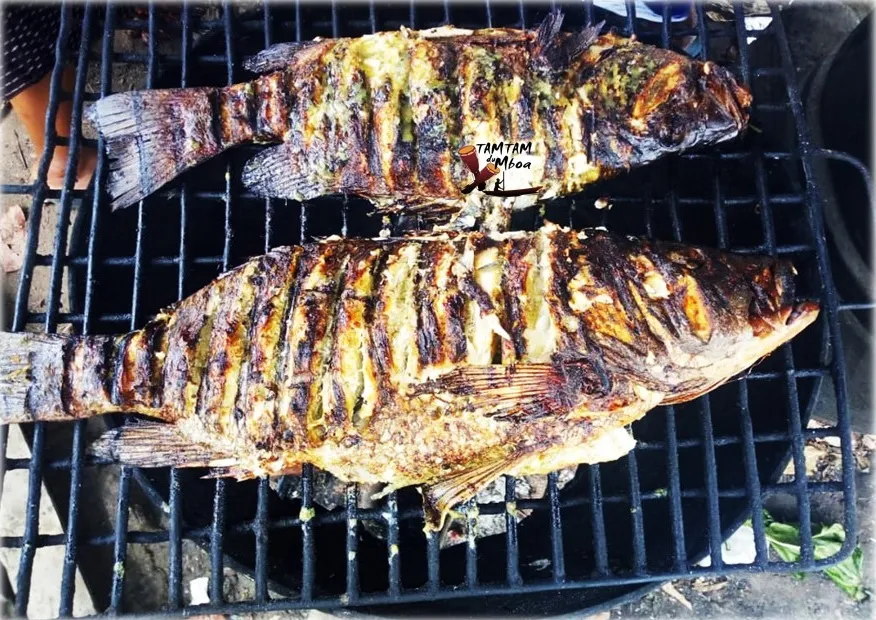 POISSON 65 USD
